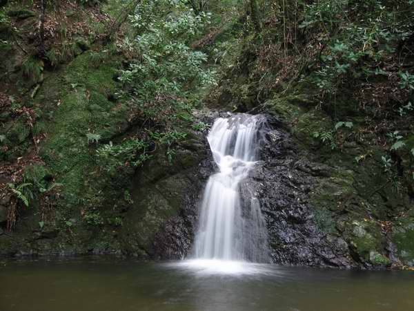 神山滝 おちついた佇まいのラボホ脇の名物滝